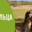 День добровольца (волонтёра) - Морозовский район