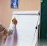 Молодёжь Морозовска начинает бороться за гранты и влияние - Bloknot-Morozovsk.Ru