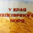 1770964038551 - Библиотека им. А.С. Пушкина