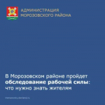 Ростовстат проводит обследование рабочей силы 